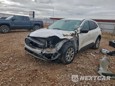 2024 FORD ESCAPE ACTIVE 1FMCU0GN4RUA87020 - główne zdjęcie licytacji z USA - miniatura