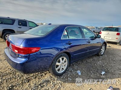 Trzecie zdjęcie samochodu z tyłu: 2005 HONDA ACCORD EX VIN:1HGCM66565A062514 - miniatura