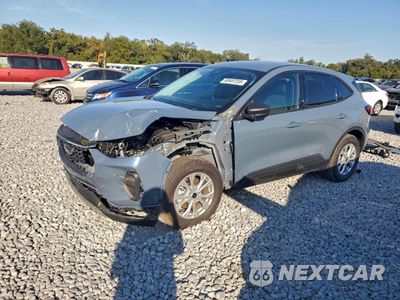 2025 FORD ESCAPE ACTIVE 1FMCU9GN9SUA20648 - główne zdjęcie licytacji z USA - miniatura