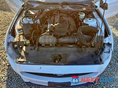 Zdjęcie 11 z 11 samochodu: 2016 FORD MUSTANG VIN:1FA6P8TH6G5268415 - miniatura