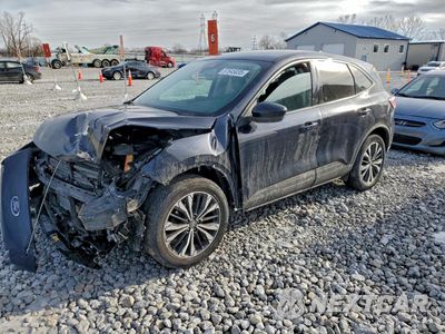 2021 FORD ESCAPE SE 1FMCU9G64MUA96421 - główne zdjęcie licytacji z USA - miniatura