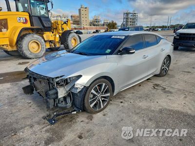 2022 NISSAN MAXIMA SV 1N4AA6CV8NC505811 - główne zdjęcie licytacji z USA - miniatura