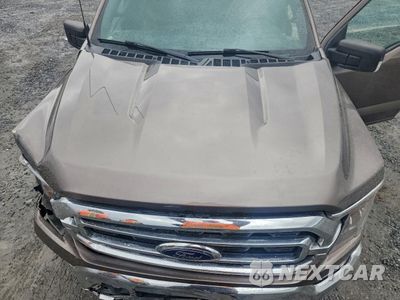 Zdjęcie 11 z 14 samochodu: 2022 FORD F150 SUPERCREW VIN:1FTEW1CP6NFA04383 - miniatura
