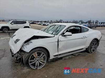 2019 FORD MUSTANG 1FA6P8THXK5124696 - główne zdjęcie licytacji z USA - miniatura
