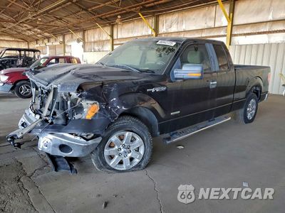 2013 FORD F150 SUPER CAB 1FTFX1CT5DFB67765 - główne zdjęcie licytacji z USA - miniatura