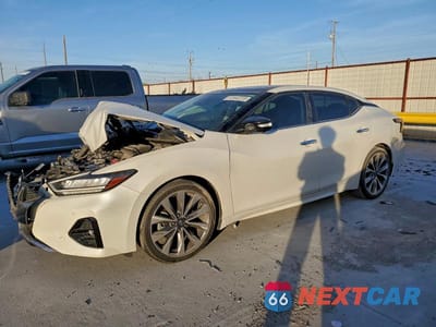 2023 NISSAN MAXIMA 3.5 PLATINUM 1N4AA6FV7PC505183 - główne zdjęcie licytacji z USA - miniatura