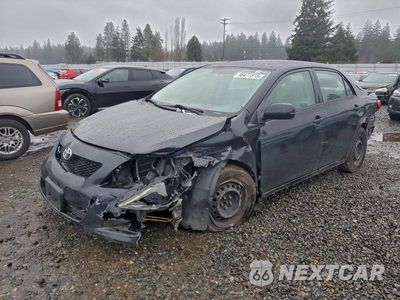 2009 TOYOTA COROLLA BASE JTDBL40E49J053830 - główne zdjęcie licytacji z USA - miniatura