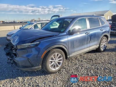 2024 HONDA CR-V EXL 2HKRS4H70RH462388 - główne zdjęcie licytacji z USA - miniatura