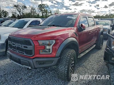 2019 FORD F150 RAPTOR 1FTFW1RG4KFB43368 - główne zdjęcie licytacji z USA - miniatura