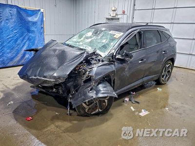 2024 HYUNDAI TUCSON LIMITED 5NMJECDE3RH363998 - główne zdjęcie licytacji z USA - miniatura