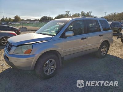 2005 HONDA PILOT EXL 5FNYF185X5B027075 - główne zdjęcie licytacji z USA - miniatura