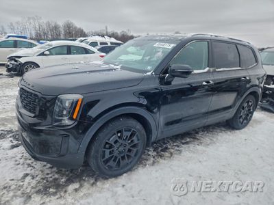 2021 KIA TELLURIDE EX 5XYP3DHC3MG143875 - główne zdjęcie licytacji z USA - miniatura
