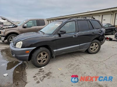 2004 HYUNDAI SANTA FE GLS KM8SC13E44U793732 - główne zdjęcie licytacji z USA - miniatura