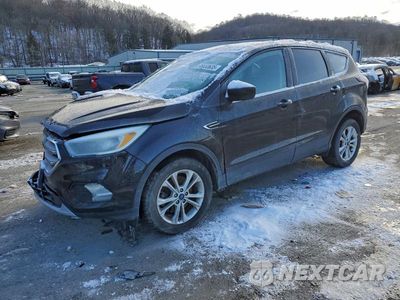 2017 FORD ESCAPE SE 1FMCU9GD9HUB55886 - główne zdjęcie licytacji z USA - miniatura