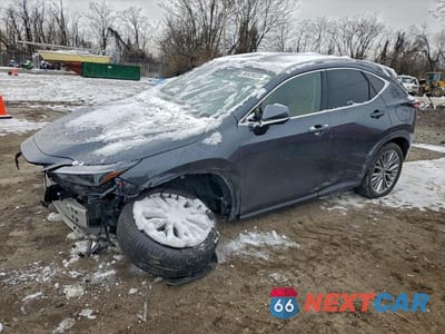 2024 LEXUS NX 350 LUXURY 2T2HGCEZ6RC047359 - główne zdjęcie licytacji z USA - miniatura