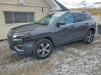 2019 JEEP CHEROKEE LIMITED 1C4PJMDN7KD489825 - główne zdjęcie licytacji z USA - miniatura