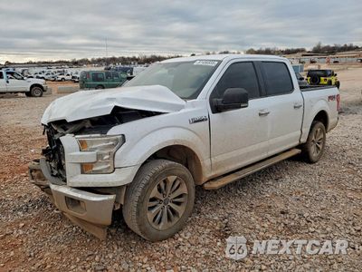 2017 FORD F150 SUPERCREW 1FTEW1EF0HKC81479 - główne zdjęcie licytacji z USA - miniatura
