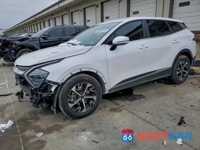 2024 KIA SPORTAGE EX 5XYK33DFXRG224450 - główne zdjęcie licytacji z USA - miniatura