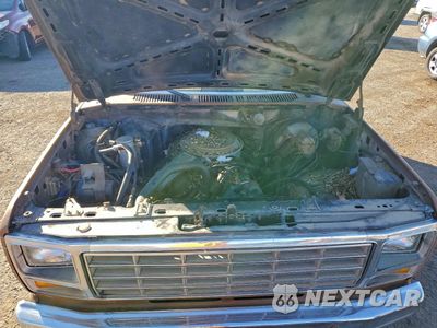 Zdjęcie 11 z 12 samochodu: 1981 FORD BRONCO U100 VIN:1FMDU15G8BLA63099 - miniatura