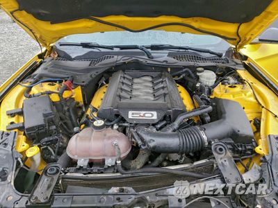 Zdjęcie 11 z 13 samochodu: 2016 FORD MUSTANG GT VIN:1FA6P8CFXG5300135 - miniatura