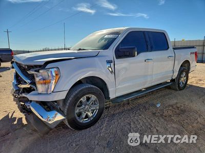 2021 FORD F-150 1FTFW1E54MKE88334 - główne zdjęcie licytacji z USA - miniatura