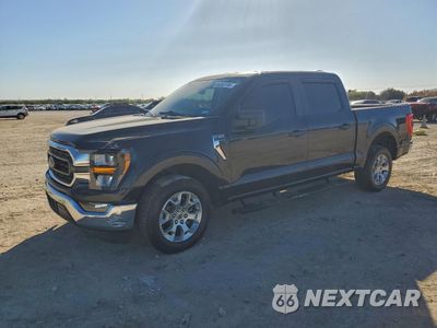 2023 FORD F150 SUPERCREW 1FTEW1C86PKD76180 - główne zdjęcie licytacji z USA - miniatura