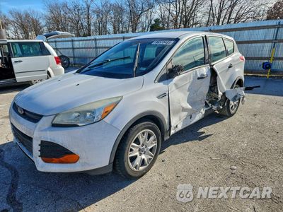 2014 FORD ESCAPE S 1FMCU0F7XEUD59213 - główne zdjęcie licytacji z USA - miniatura