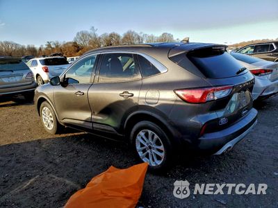 Drugie zdjęcie samochodu z przodu: 2020 FORD ESCAPE SE VIN:1FMCU9G65LUB53479 - miniatura