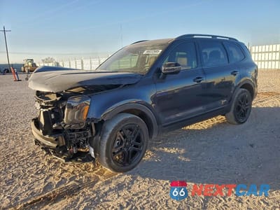2025 KIA TELLURIDE EX X-LINE 5XYP3DGCXSG720710 - główne zdjęcie licytacji z USA - miniatura