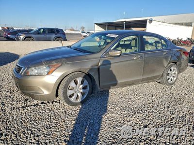 2009 HONDA ACCORD EXL 1HGCP268X9A042797 - główne zdjęcie licytacji z USA - miniatura