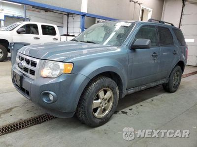 2011 FORD ESCAPE XLT 1FMCU9DG1BKB98717 - główne zdjęcie licytacji z USA - miniatura