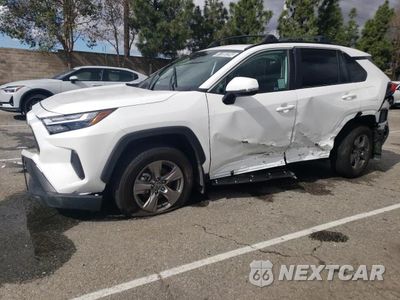 2023 TOYOTA RAV4 XLE 2T3W1RFV5PC246287 - główne zdjęcie licytacji z USA - miniatura