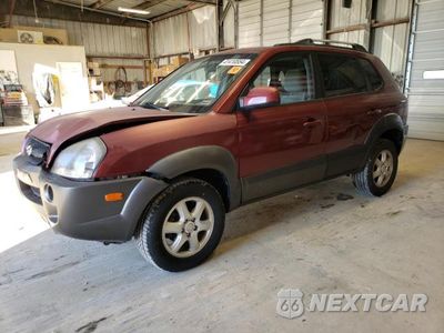 2005 HYUNDAI TUCSON GLS KM8JN12D85U130230 - główne zdjęcie licytacji z USA - miniatura