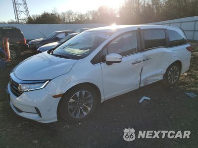 2021 HONDA ODYSSEY EXL 5FNRL6H71MB024320 - główne zdjęcie licytacji z USA - miniatura