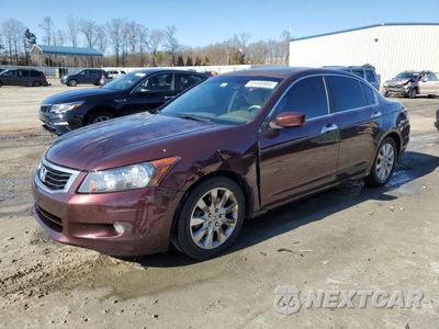 2010 HONDA ACCORD EXL 5KBCP3F82AB011173 - główne zdjęcie licytacji z USA - miniatura