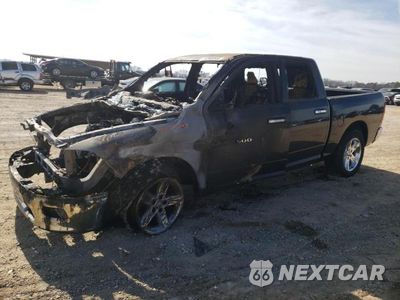 2011 DODGE RAM 1500 1D7RB1CT5BS629294 - główne zdjęcie licytacji z USA - miniatura