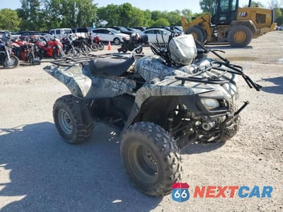 2009 SUZUKI LT-A750 XP 5SAAR41P997101428 - główne zdjęcie licytacji z USA - miniatura