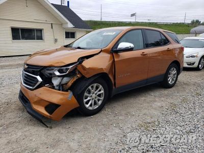 2019 CHEVROLET EQUINOX LS 2GNAXHEV1K6195420 - główne zdjęcie licytacji z USA - miniatura