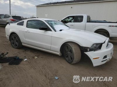 Czwarte zdjęcie samochodu z boku: 2013 FORD MUSTANG VIN:1ZVBP8AM9D5249293 - miniatura
