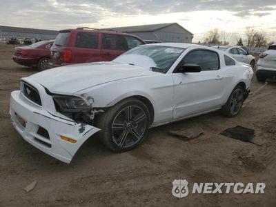 2013 FORD MUSTANG 1ZVBP8AM9D5249293 - główne zdjęcie licytacji z USA - miniatura