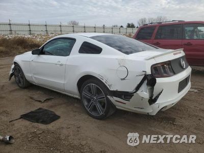 Drugie zdjęcie samochodu z przodu: 2013 FORD MUSTANG VIN:1ZVBP8AM9D5249293 - miniatura