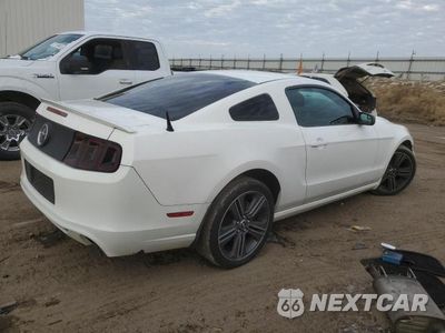 Trzecie zdjęcie samochodu z tyłu: 2013 FORD MUSTANG VIN:1ZVBP8AM9D5249293 - miniatura