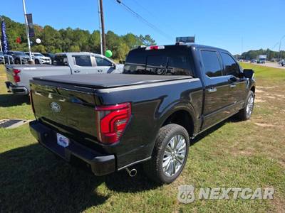 2024 Ford F-150 Hybrid Platinum Crew Cab Short Bed - zdjęcie 3 z 22 - miniatura