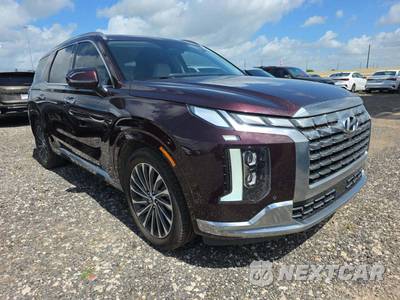 2023 Hyundai Palisade Calligraphy - zdjęcie 4 z 21 - miniatura
