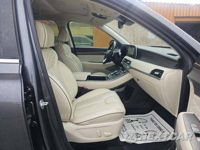 2020 Hyundai Palisade Limited - zdjęcie 19 z 22 - miniatura