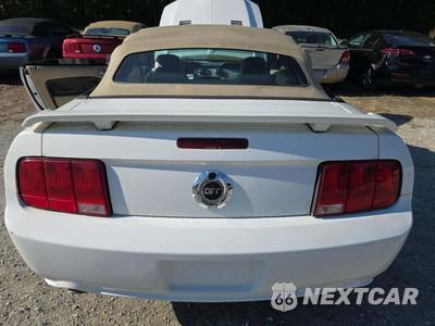 2007 Ford Mustang GT Premium Convertible - zdjęcie 14 z 35 - miniatura