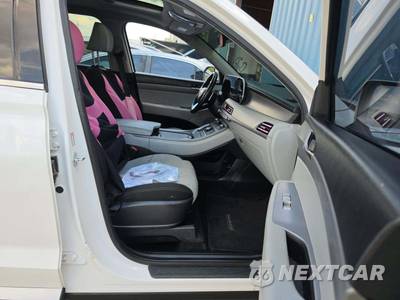 2021 Hyundai Palisade SEL - zdjęcie 19 z 27 - miniatura
