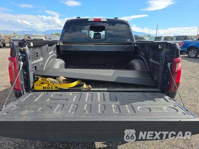 2025 Ford F-150 Tremor Crew Cab Short Bed - zdjęcie 14 z 20 - miniatura