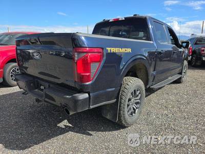 2025 Ford F-150 Tremor Crew Cab Short Bed - zdjęcie 3 z 20 - miniatura