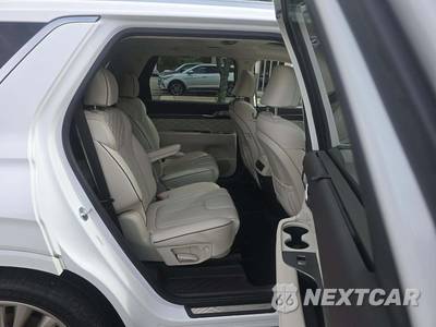 2020 Hyundai Palisade Limited - zdjęcie 14 z 19 - miniatura
